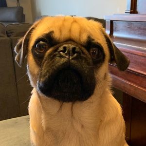 Meet your Posher, Sean